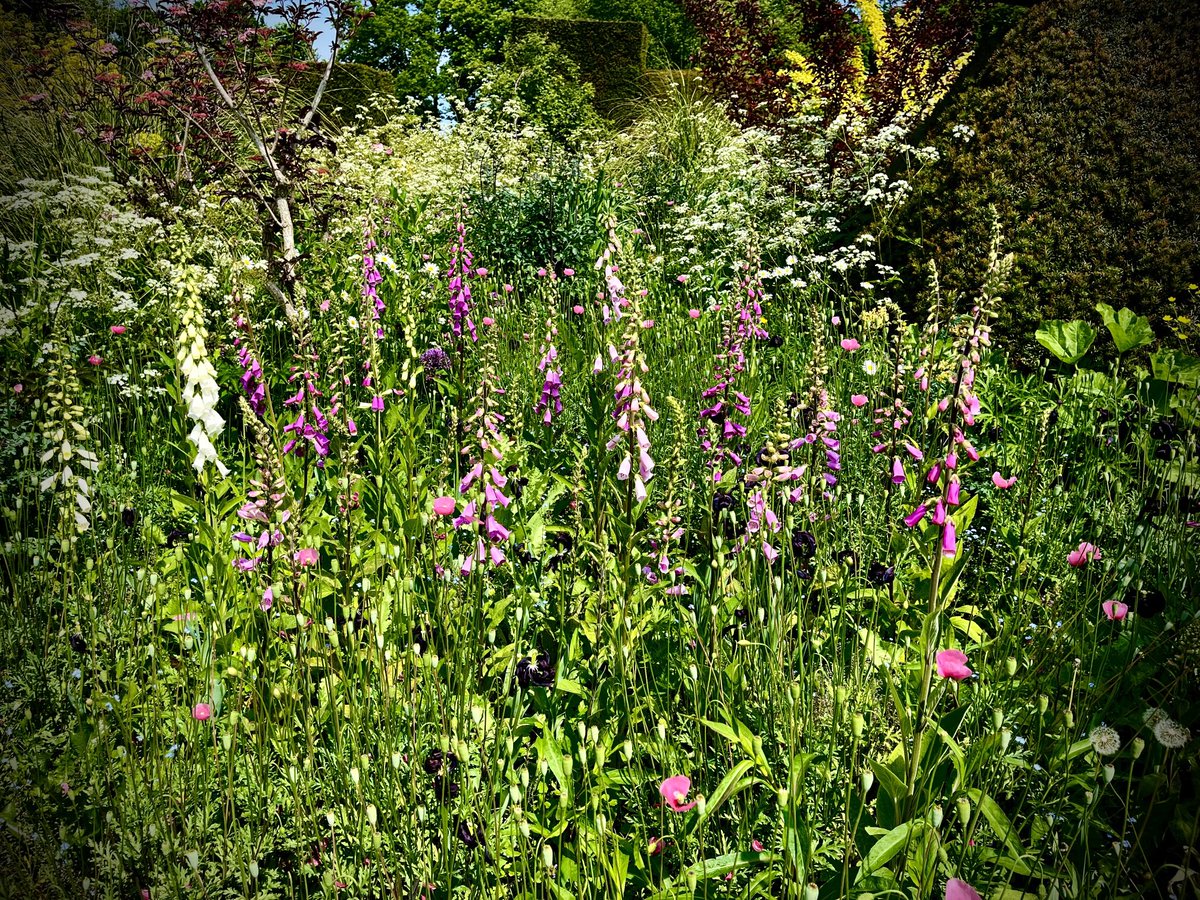 Catherine Russell tweet media