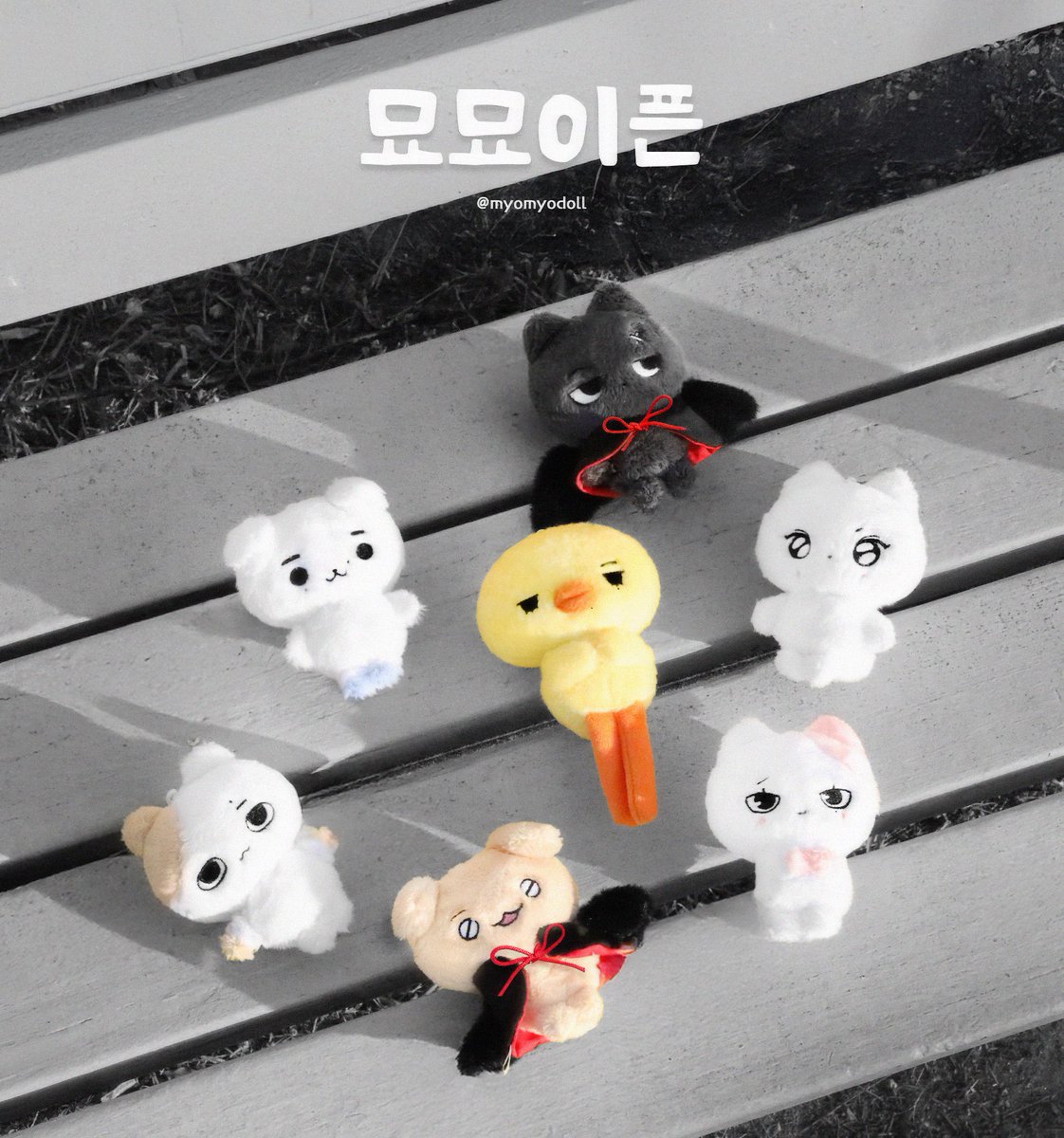 묘묘이픈 tweet media
