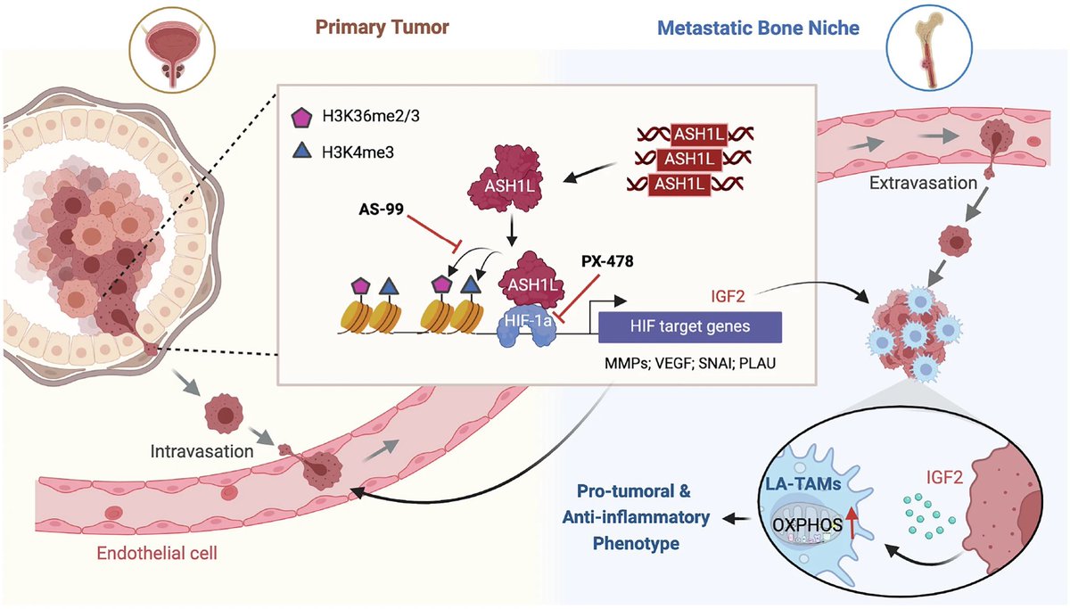 Di Zhao MDA tweet media