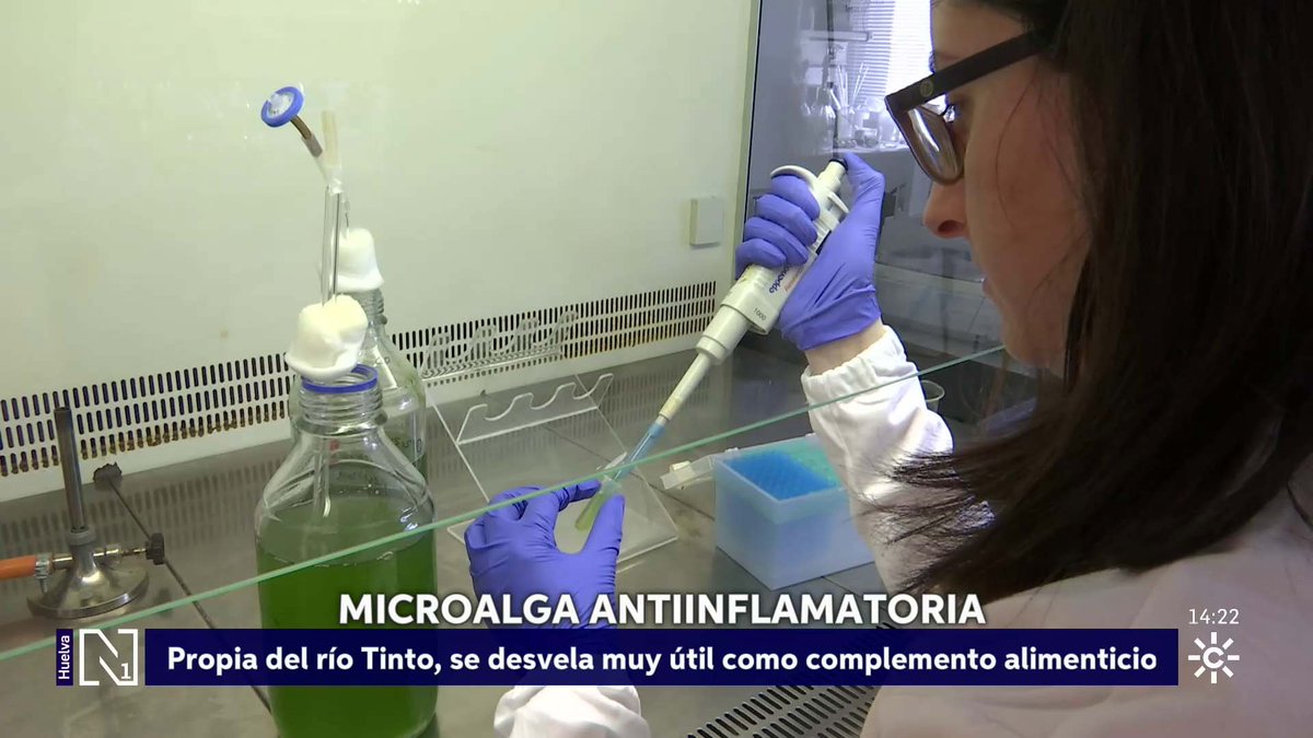 CSurNoticias's tweet photo. Investigadores andaluces de la Universidad de Huelva demuestran la capacidad antiinflamatoria de una microalga del río Tinto 

🌐 https://t.co/nED4Lbt8IS https://t.co/LoVgXHtkJ7