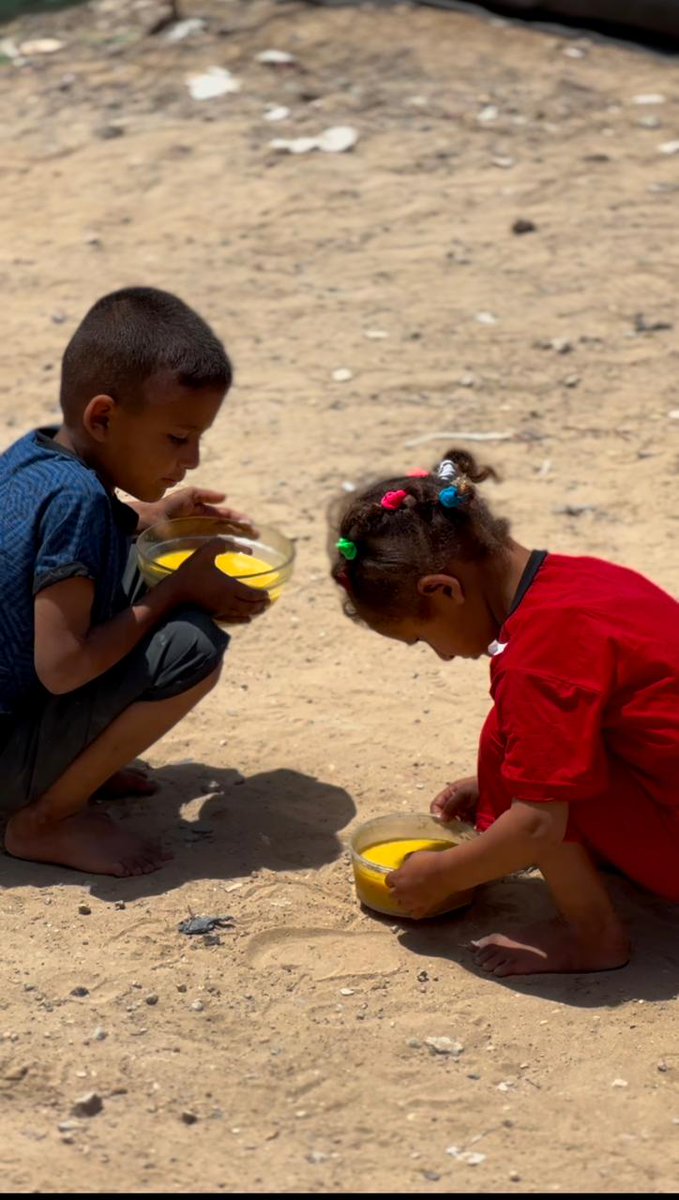LoverHomeless's tweet photo. 🙏It is quite warm in Gaza these days, and yesterday we managed to give ice cream to kids in the tent camps around us! It is such a great feeling to make kids happy, my friends. They weren’t expecting something sweet at all, let alone ice cream, so the surprise was met with absolute amazement. It was the best moment I’ve felt in weeks. We hope to help all the people in our area and even those in the surrounding neighbourhoods as well. We hope to save the lives of both people and animals, as we will provide them with water. That at least is our plan, my friends. We need more donations in order to set this water desalination station up. It is our biggest dream to do this. Everyone, and I do mean everyone, is in dire need of water. Please understand it is not ‘just’ drinking water. We also need it to bathe, clean and cook. This is why everyone needs so much of it. As there is such a lack of clean water, we really would be helping thousands of people to survive. Combined with our kitchen, we can save so many people. It is hard to tell you just how much we need this. Nothing is more urgent. People are starving and dying of preventable diseases every day. More food and clean water would solve so many of our problems, my dear friends. Please, we are trying hard to provide everything we can for these poor civilians. Will you please help us by donating and sharing this message?🫂🙏💚https://t.co/js2KIOUNIj🙏🫂🥺
🙏🐾🐈https://t.co/rpOoxgIOgA🐾🐈🫂🙏
💧🙏🫂https://t.co/Vac3JkMNRU🫂🙏💧💧
🐾🐈🙏https://t.co/2ezHkCtdFt🙏💚🆘️🐾🐈