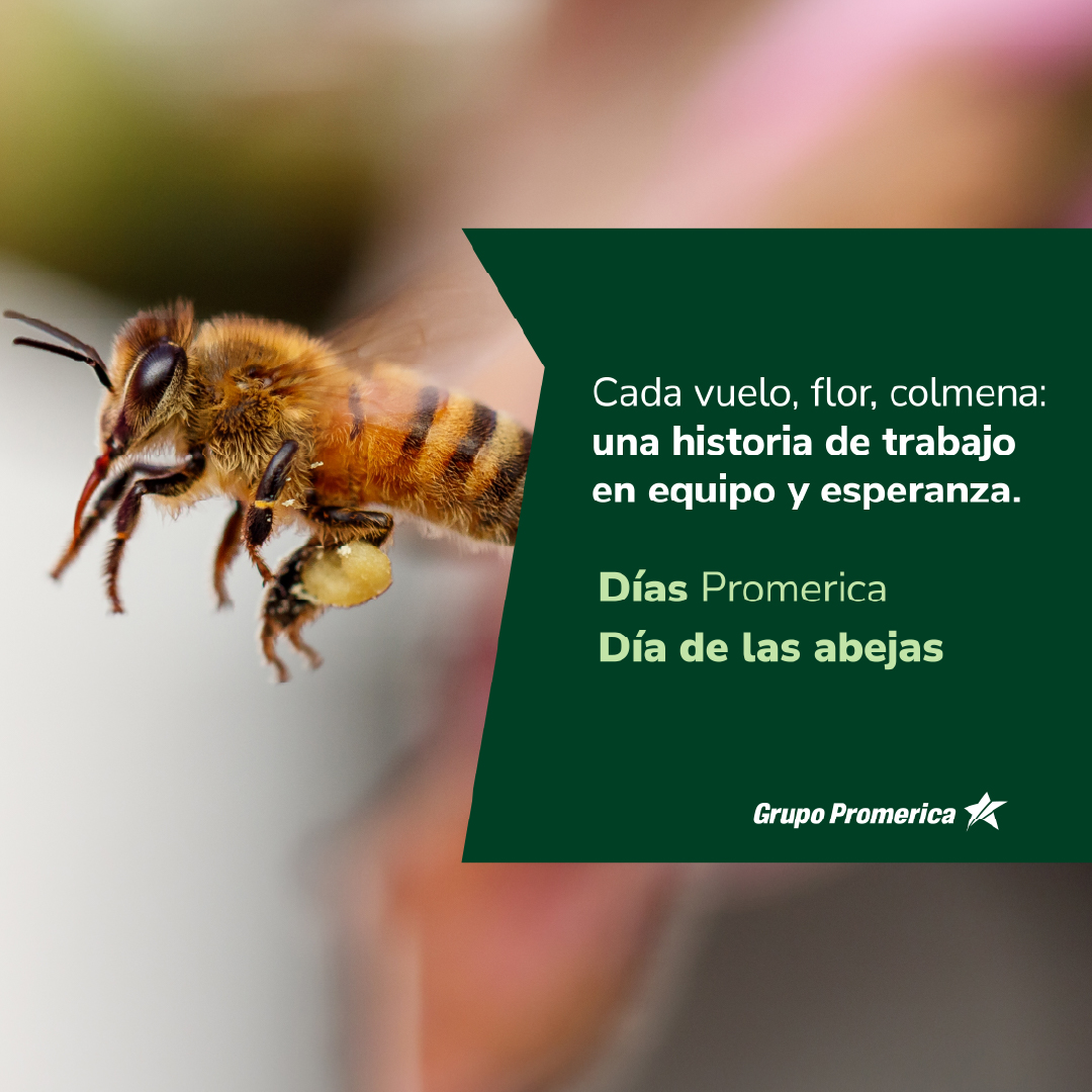 Hoy celebramos a quienes sostienen la vida en silencio: las abejas.
El 75% de los cultivos del mundo dependen de la polinización. Proteger a las abejas es proteger nuestro presente y el futuro de todos.

#DíaDeLasAbejas