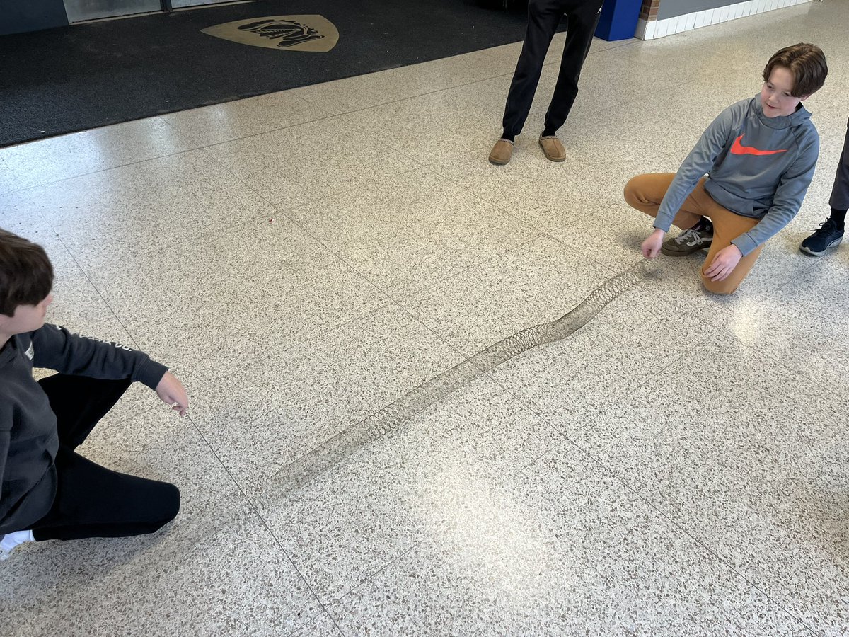 How can we model sound waves? Ss had fun using a metal spring to demonstrate compressions and rarefactions in a sound wave. <a href="/SEPUP_UCB/">SEPUP</a> <a href="/LabAids/">Lab Aids</a>