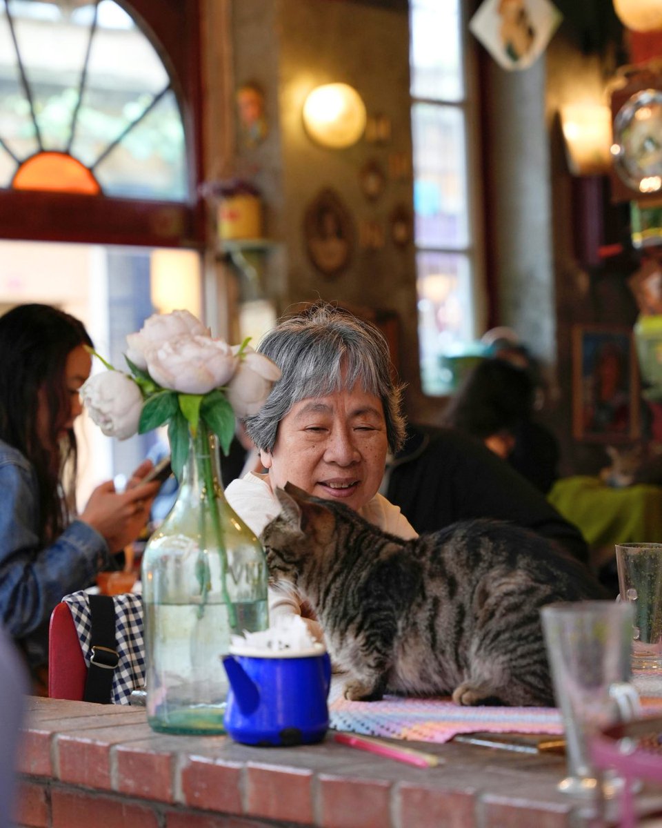 airalocom's tweet image. The most unique café’s you MUST visit when in Japan ☕👇
try.airalo.com/uniquejapancaf…