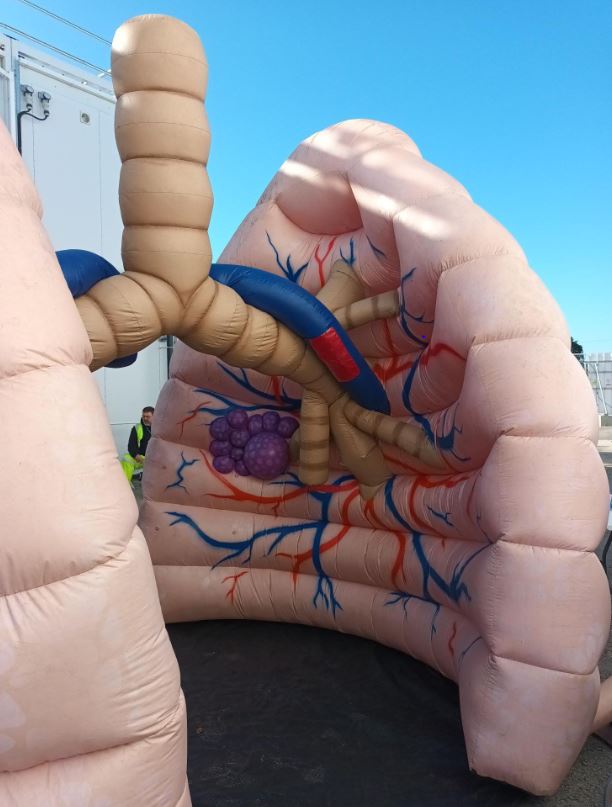 Are you attending the #LambethCountryShow next month? 

Come and visit our Mega Lungs display on 7 and 8 June! We'll be talking to visitors about lung cancer screening and sharing tips on how to keep your lungs healthy. 

Find out more: bit.ly/3FhWBdC
