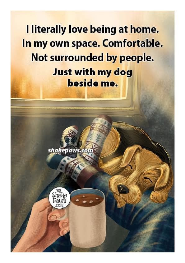 Dog Lovers (@doglovers03) on Twitter photo 