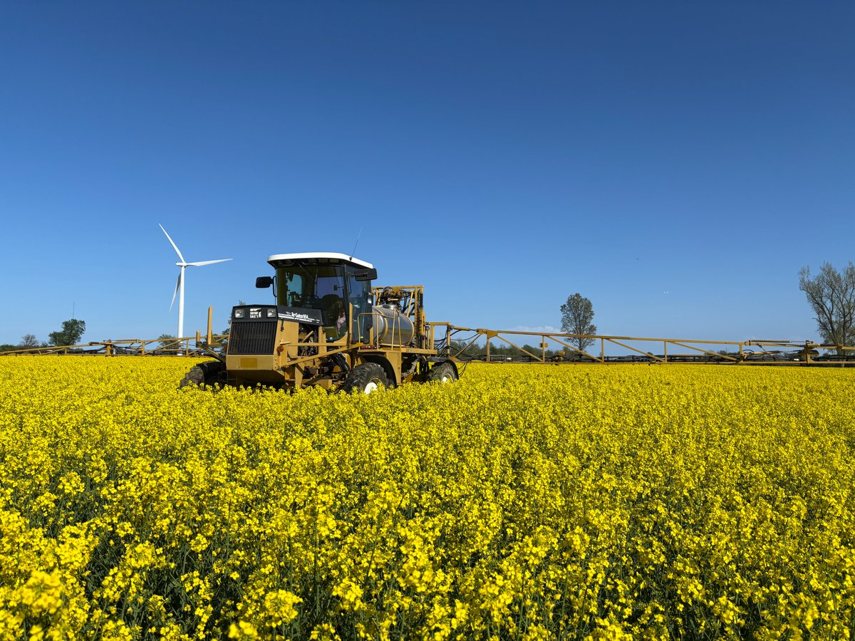 Look at that canola field 🤩
Max Impact and 5% Boron (both available at CanGrow) were applied with fungicide. Max Impact, a 4-20-0 with micro nutrients and BioLiNE Gold, helps optimize growth and energy to support the critical reproductive growth stages, maximizing crop