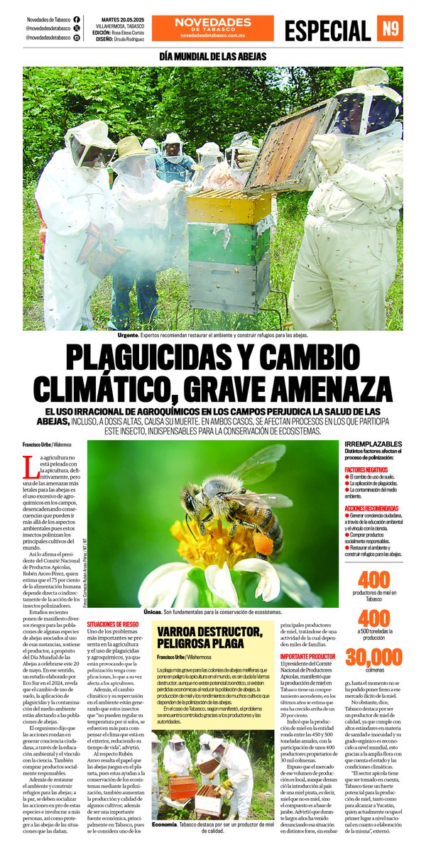 ndetabasco's tweet photo. Les compartimos la #PortadaNT de hoy…📰 

-Establecen Mando Único de seguridad 🚨 
-#EspecialNT Grave amenaza para abejas 🐝 
-#ClaseNT ¡Fiestón! 🎉 https://t.co/Me9oxgWjTd