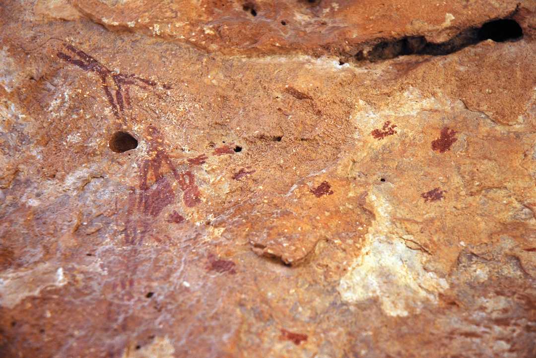 Las cuevas de la Araña en Bicorp, Valencia, están datadas entre los años 9000 y 1400 a.C. Lo que las hace especialmente importantes es el hecho de contar entre sus pinturas rupestres con una de las representaciones de recolección de miel más antiguas del mundo.