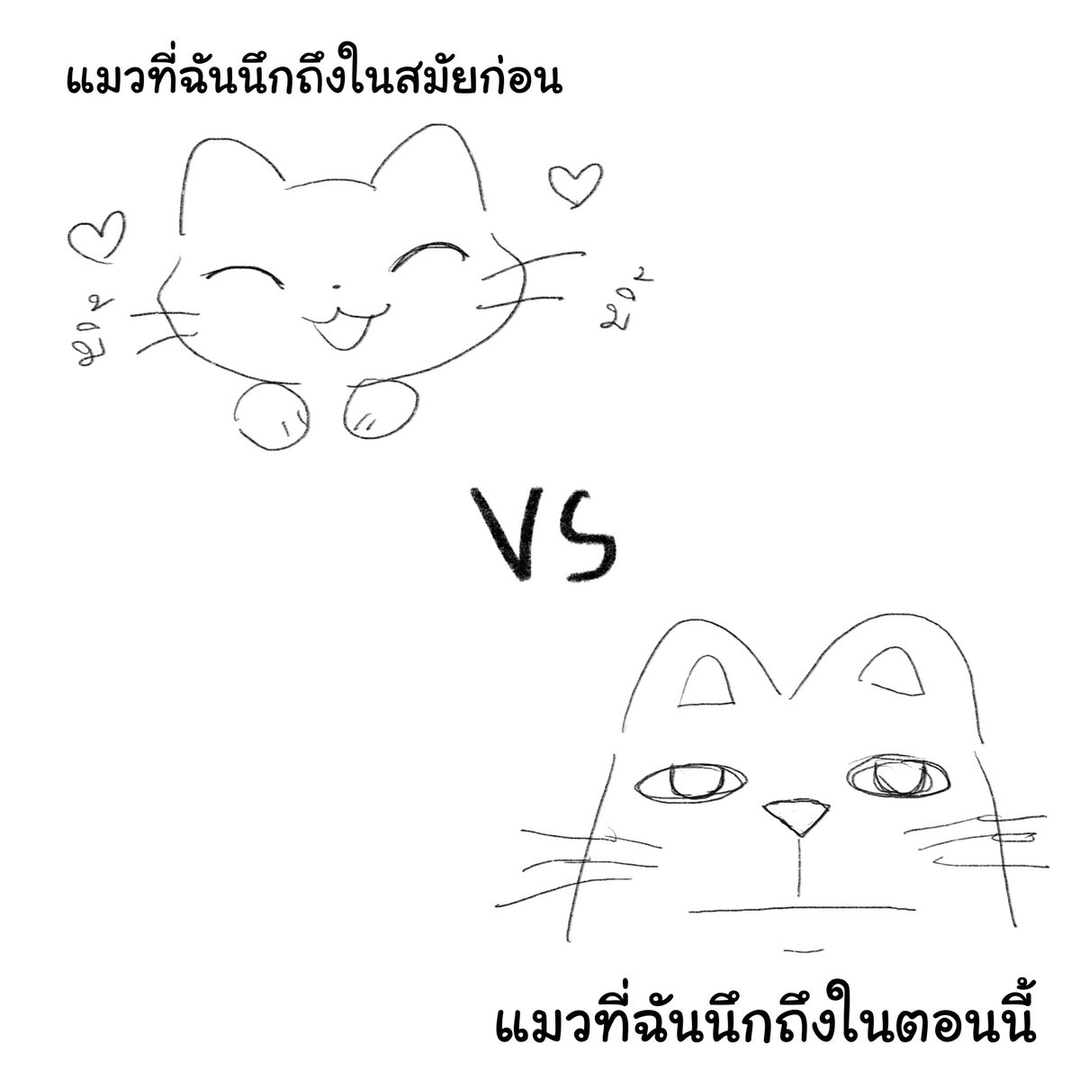 ทำไมแมวสมัยนี้มันอุบาดขึ้นอ่ะ (ชม) 
