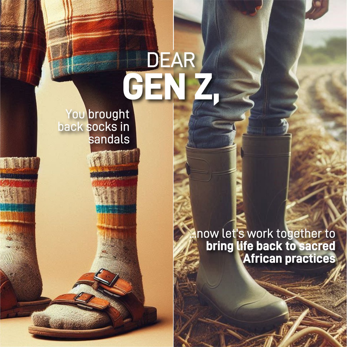 Zwecha2's tweet photo. True climate action means protecting the seed systems that have sustained communities long before industrial agriculture
#SaveOurSeeds 
#SeedLawsMustServeFarmers https://t.co/JbYyeAl6GF