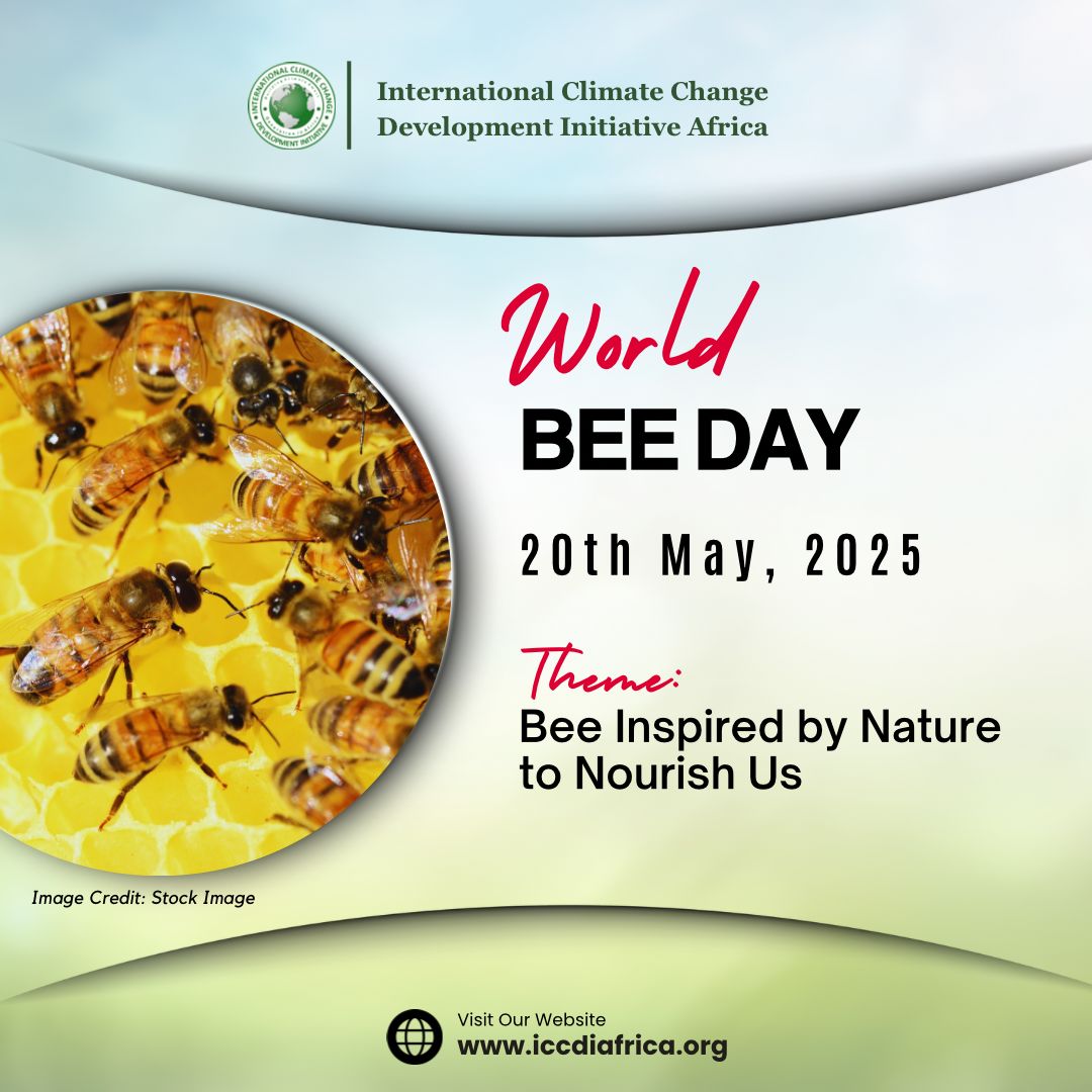 ClimateWed's tweet image. 🐝 Happy World BEE DAY! 

Let’s honour the remarkable bees that nourish our planet and inspire us to collaborate like they do. 

If nature thrives through unity, what could we achieve if we embraced the same spirit? 🌼 

#WorldBeeDay #BeeInspired #PollinatorPower