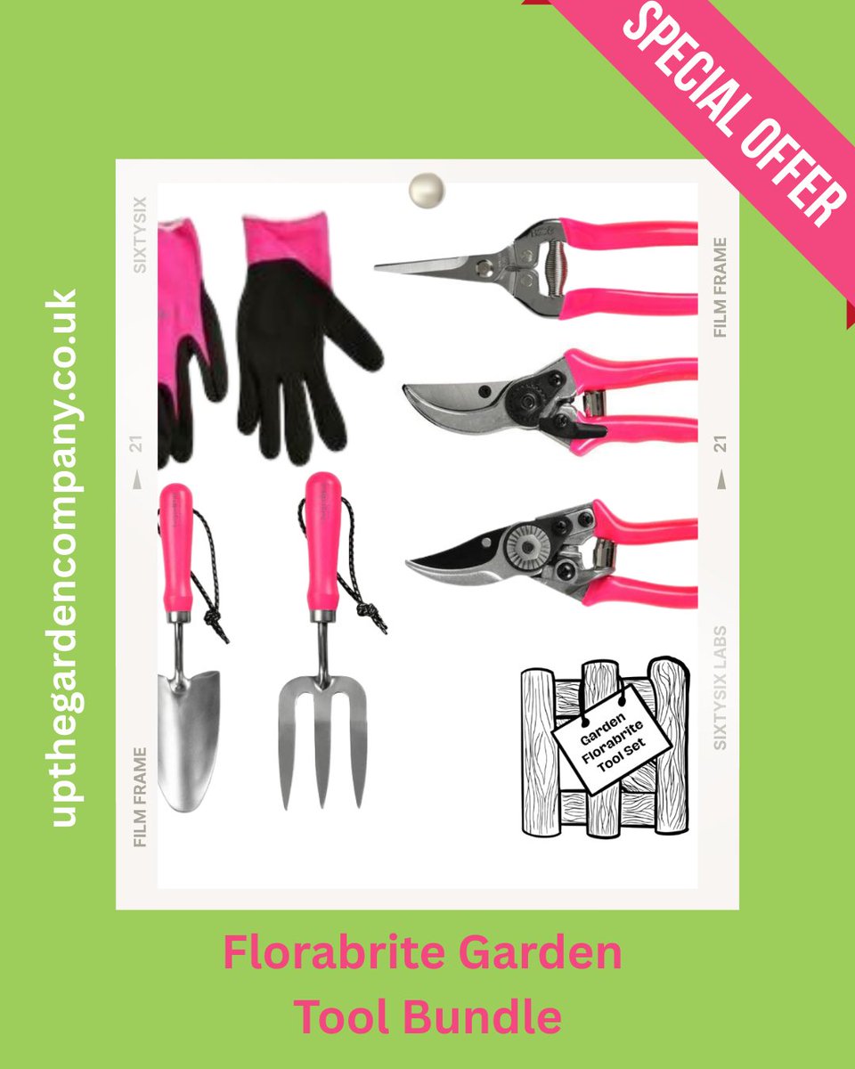 UpTheGardenCo's tweet photo. Florabrite Garden Tools Special Offer Bundle
https://t.co/5njsREUjtJ
#gardentools #florabrite #garden #gardenersworld #montydon #rhs #chelseaflowershow #gardendeals #gardentoolsale #weedingtools #gardensale https://t.co/ZC4zZrdCPF