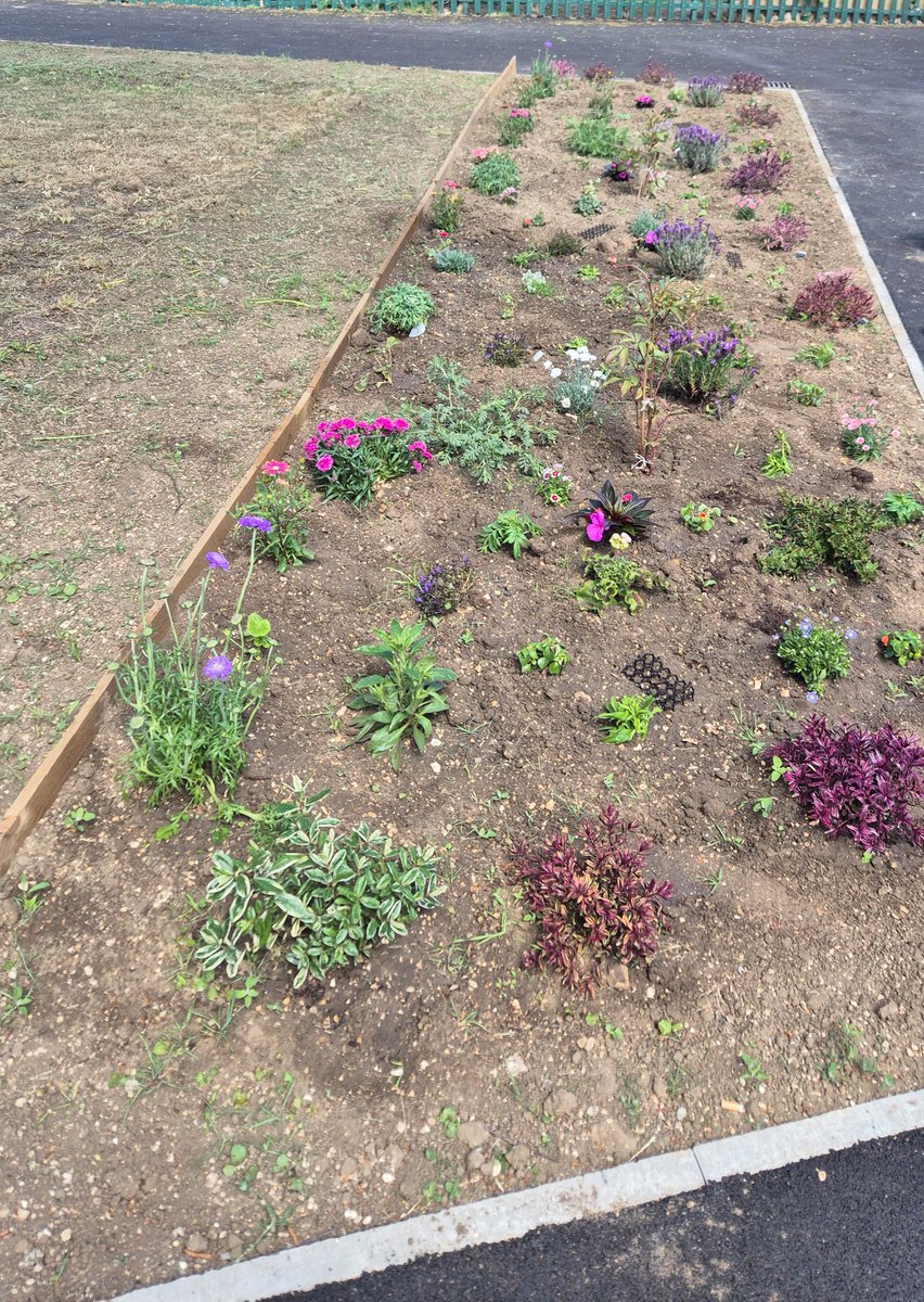 Hull CC Tenant Participation Team (@hcctpt) on Twitter photo Whilst the Team are on their travels they often come across hidden gems within the city. This is a wonderful example of what you can do to brighten up your area, just with a few flowering plants. #whereareweinhull <a href="/HCCWest/">West Hull Area Committee</a> Whilst the Team are on their travels they often come across hidden gems within the city. This is a wonderful example of what you can do to brighten up your area, just with a few flowering plants. #whereareweinhull <a href="/HCCWest/">West Hull Area Committee</a>
