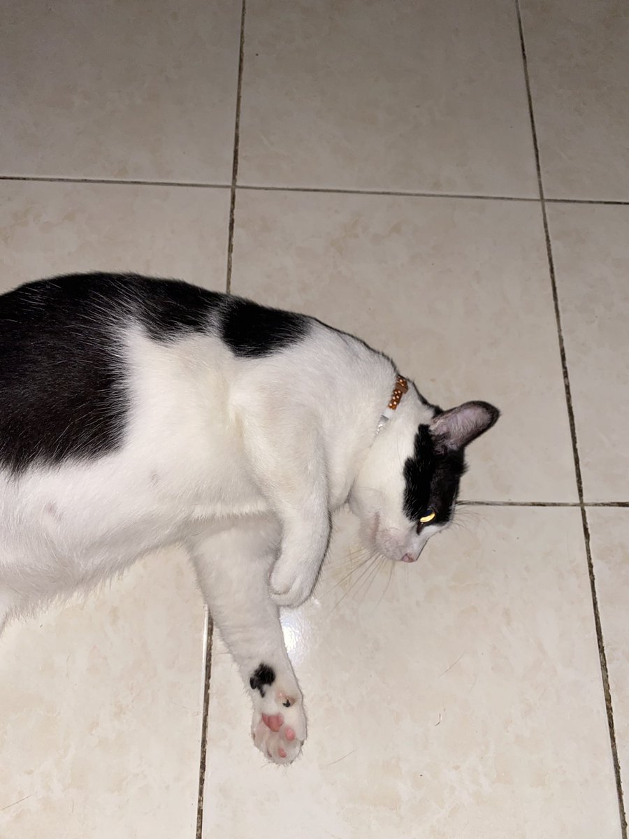 Haih penatla kena kutuk je