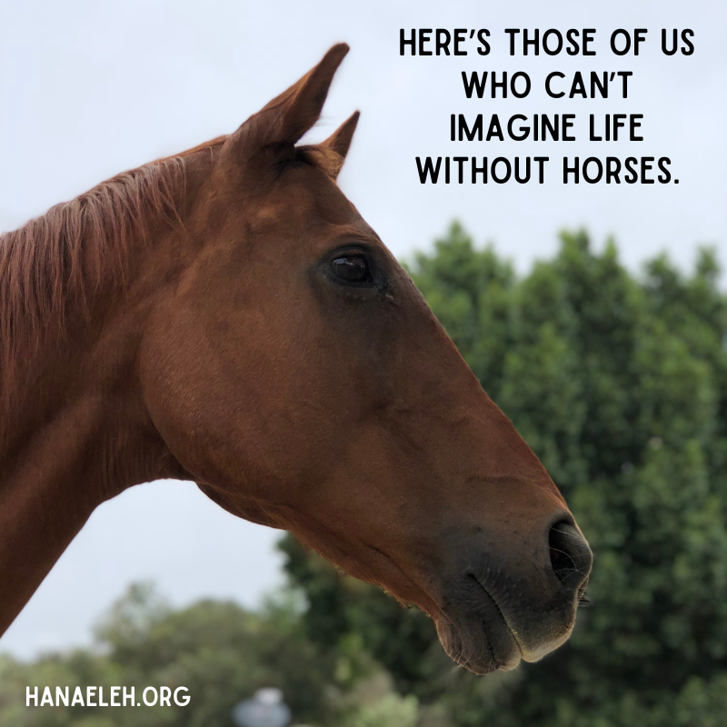 Hanaeleh (@hanaeleh) on Twitter photo 