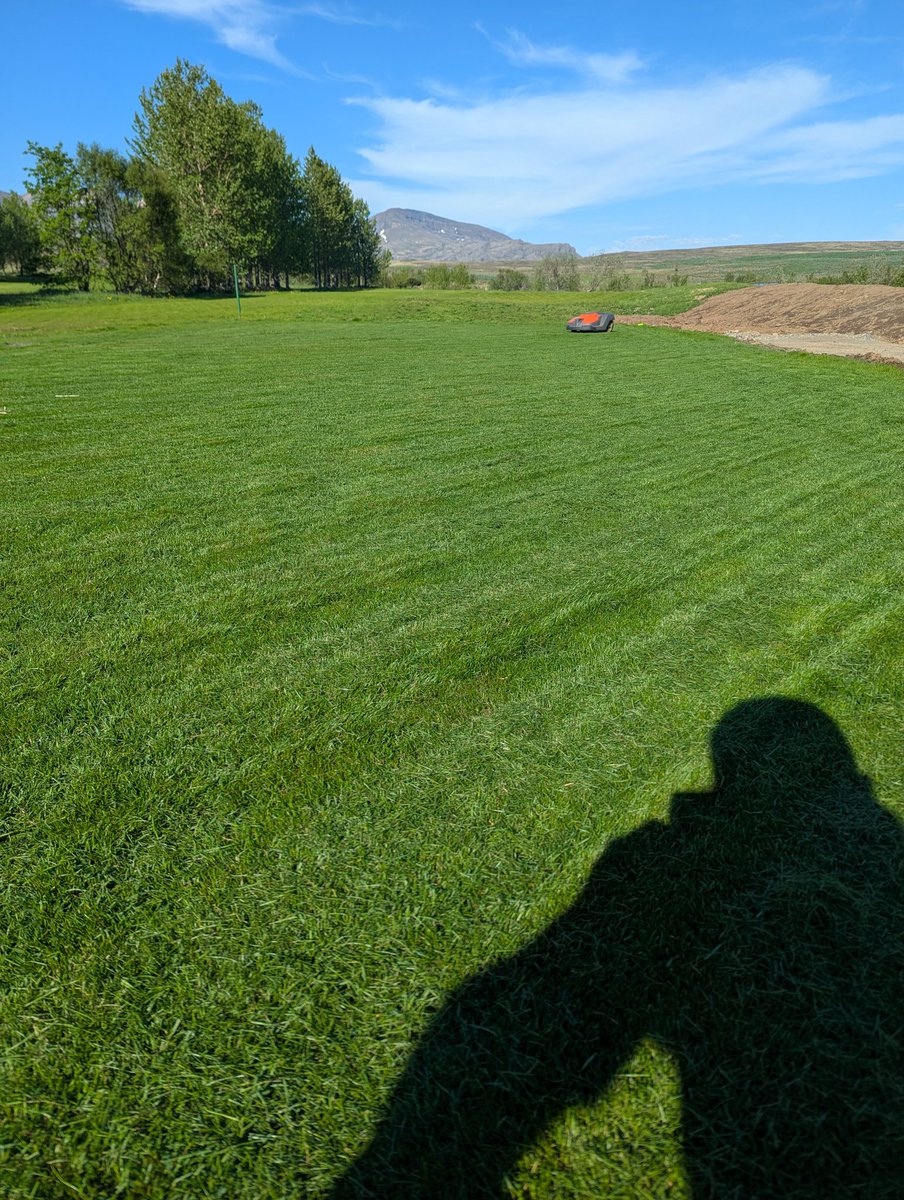 I refuse to take part in grow-ins unless there are robots.  So good on the first cuts.