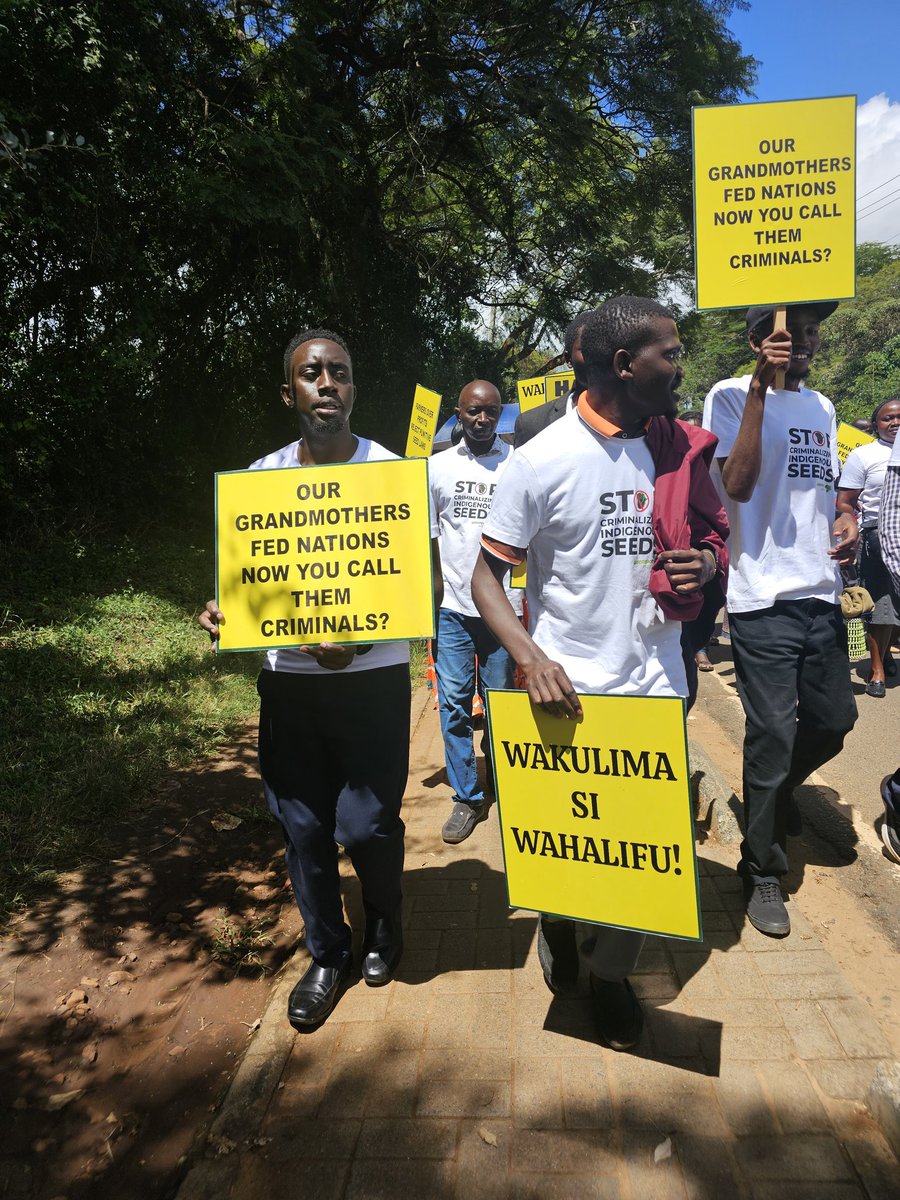 FerdyOmondi's tweet photo. Your final photos for the day.
Feel free to use them in support of Kenya's indigenous Farmers. 

This isn’t just about the constitution.
Its about the freedom to choose what seeds we plant and what food ends up on our table.

Farmers first, not corporates! 

#SaveOurSeeds https://t.co/icdRz4rZiD
