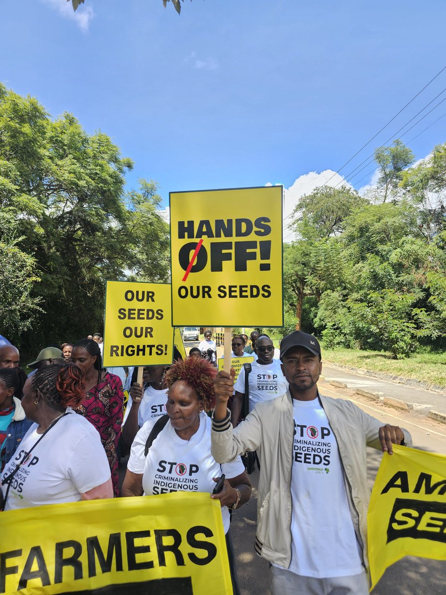 FerdyOmondi's tweet photo. Your final photos for the day.
Feel free to use them in support of Kenya's indigenous Farmers. 

This isn’t just about the constitution.
Its about the freedom to choose what seeds we plant and what food ends up on our table.

Farmers first, not corporates! 

#SaveOurSeeds https://t.co/icdRz4rZiD