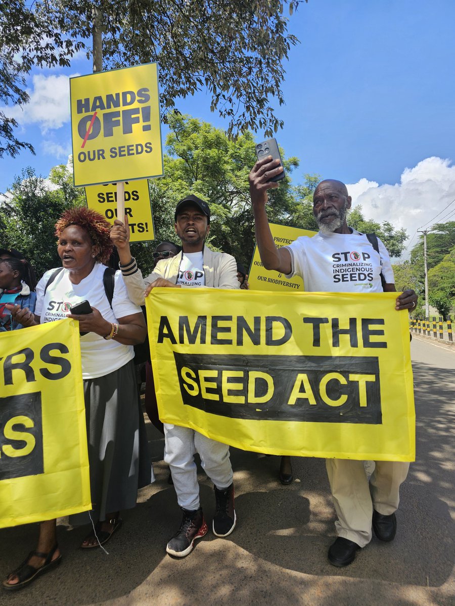 FerdyOmondi's tweet photo. Your final photos for the day.
Feel free to use them in support of Kenya's indigenous Farmers. 

This isn’t just about the constitution.
Its about the freedom to choose what seeds we plant and what food ends up on our table.

Farmers first, not corporates! 

#SaveOurSeeds https://t.co/icdRz4rZiD