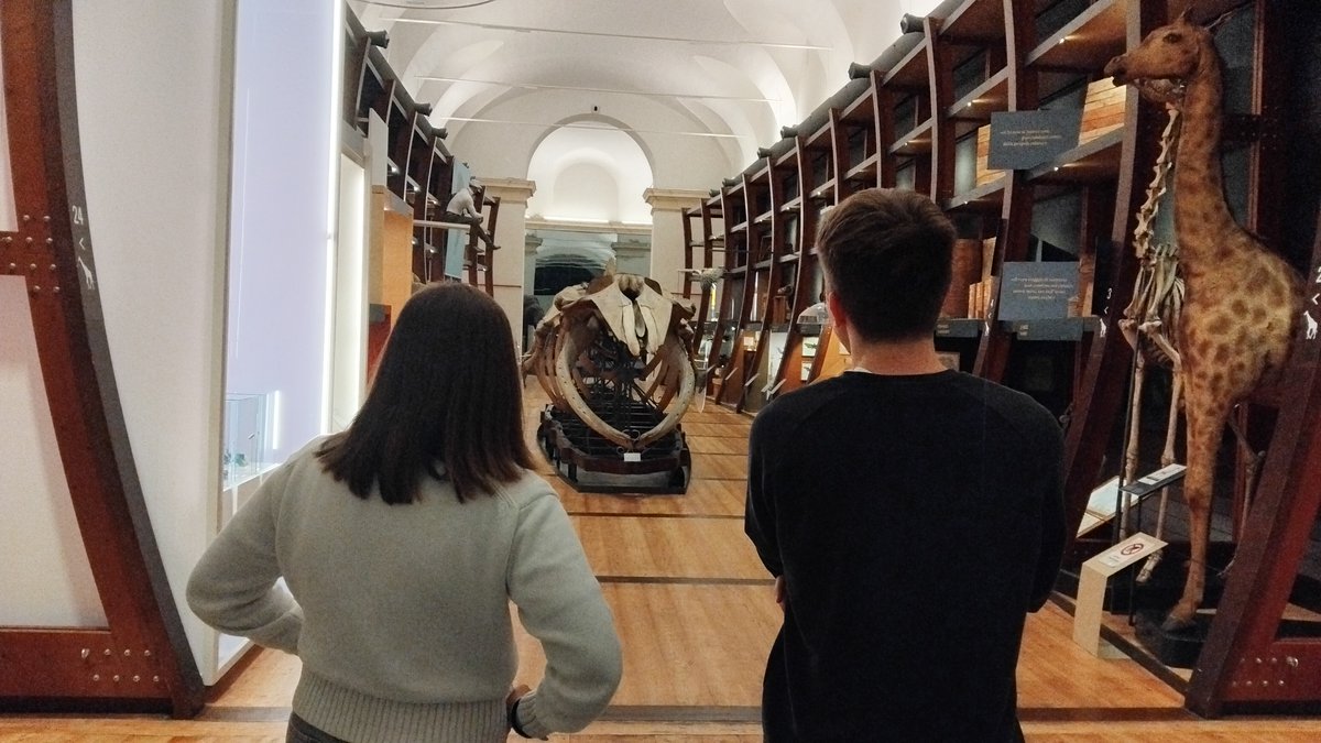 @DBIOSUnito (@dbiosunito) on Twitter photo Gli studenti del corso di Anatomia Comparata di Scienze Biologiche nei panni di guide del Museo Regionale di Scienze Naturali per un giorno: studio delle collezioni esposte e interviste ai curatori per produrre bozze di brochure e contenuti multimediali
<a href="/MRSNTORINO/">MRSN Torino</a>
<a href="/unito/">Università di Torino</a> Gli studenti del corso di Anatomia Comparata di Scienze Biologiche nei panni di guide del Museo Regionale di Scienze Naturali per un giorno: studio delle collezioni esposte e interviste ai curatori per produrre bozze di brochure e contenuti multimediali
<a href="/MRSNTORINO/">MRSN Torino</a>
<a href="/unito/">Università di Torino</a>