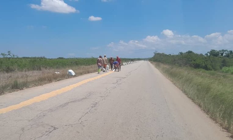 #Camaguey jóvenes en recogida de #arroz, gente que trabaja duro <a href="/tvcamaguey/">Televisión Camagüey</a> <a href="/AviannyH58766/">Avianny Delgado Herrera</a> <a href="/KarlaCamil70381/">Karla Camila Abreu Rodríguez</a>