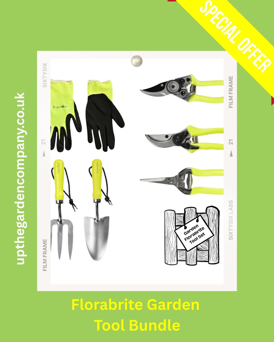 UpTheGardenCo's tweet photo. Florabrite Garden Tools Special Offer Bundle
Pink or Yellow Finish.
https://t.co/5njsREUjtJ
#gardentools #florabrite #garden #gardenersworld #montydon #rhs #chelseaflowershow #gardendeals #gardentoolsale #weedingtools #gardensal https://t.co/w6WLk4mn0F