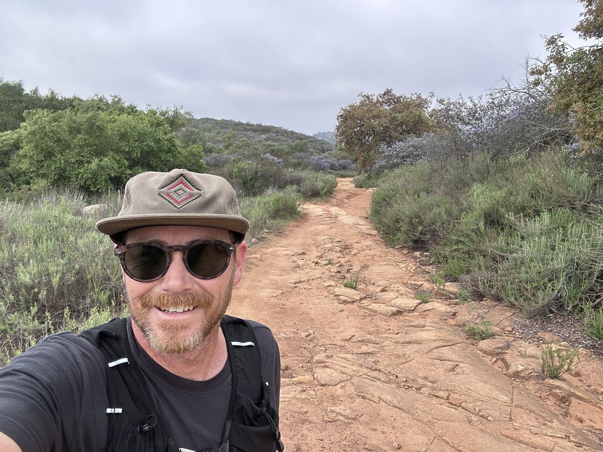 Will Turner tweet media