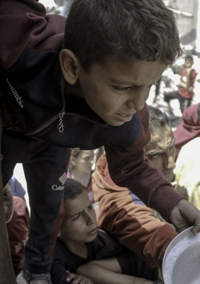 Daphne  Matthews  Whelan tweet media