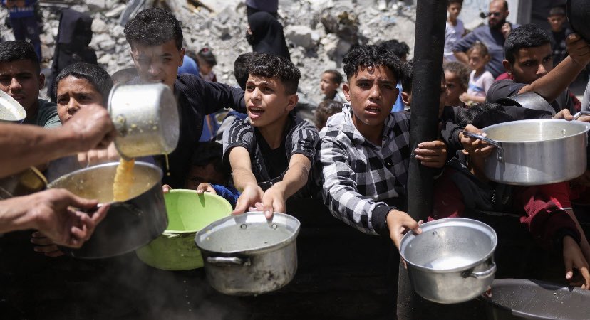 Daphne  Matthews  Whelan tweet media