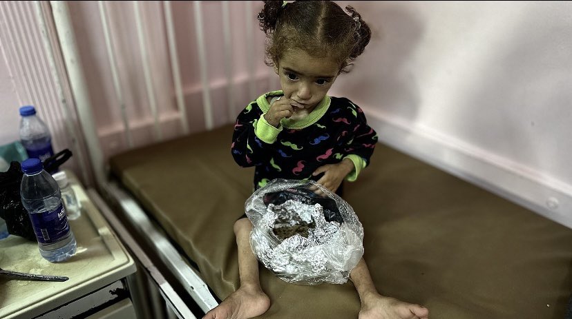 Daphne  Matthews  Whelan tweet media