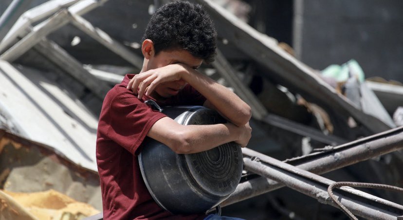 Daphne  Matthews  Whelan tweet media