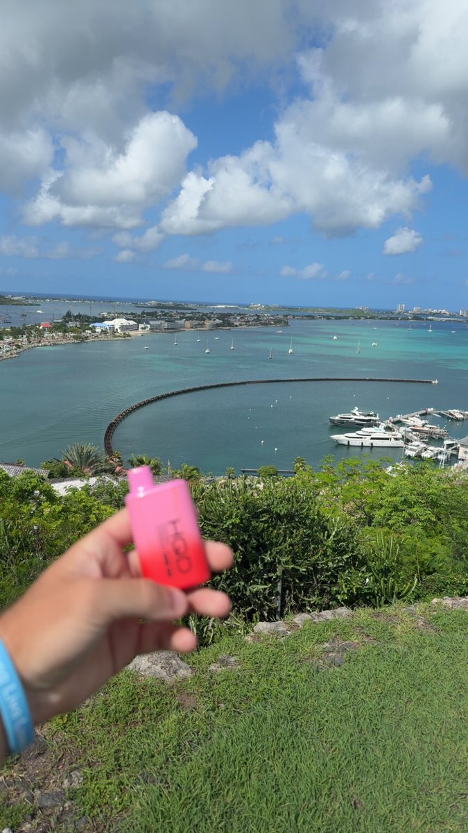 roundersmunch's tweet image. Vape widda view #catchabuzz #youlikethatkirko