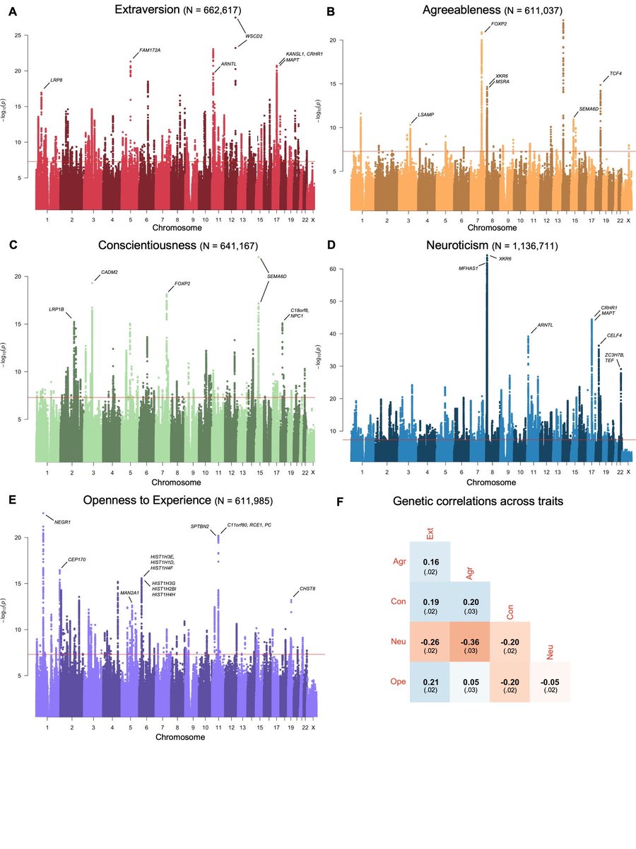 tuckerdrob's tweet photo. The ReGPC presents comprehensive GWAS of the Big Five personality in N=611K-1.14M and within-family GWAS in N=51K. In contrast to many other social/behav traits, pop GWAS of personality almost entirely reflect direct genetic effects. https://t.co/j5Esm4qHPC https://t.co/hBdIkSvAf6