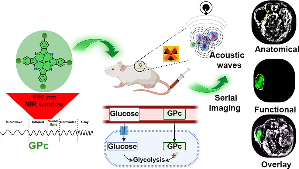📢 📢Super excited to share the first independent research article from our group out in JACS Au!
Brilliant team effort🙌
We engineered a photoacoustic contrast agent that can noninvasively monitor metabolic avidity in tumors!

Read more about it here 👇
pubs.acs.org/doi/10.1021/ja…