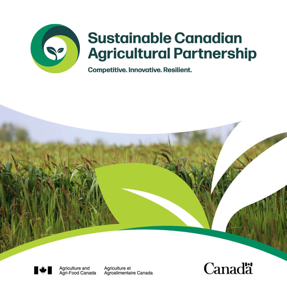 Reminder! 🔔
The priority intake for the AgriCompetitiveness, AgriDiversity and AgriMarketing programs closes on May 30, 2025. Don’t miss your opportunity to apply!