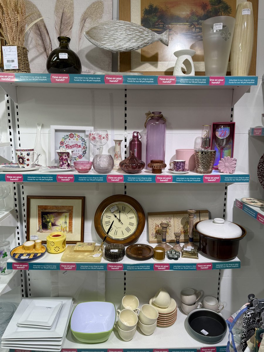 Charles Hanson tweet media