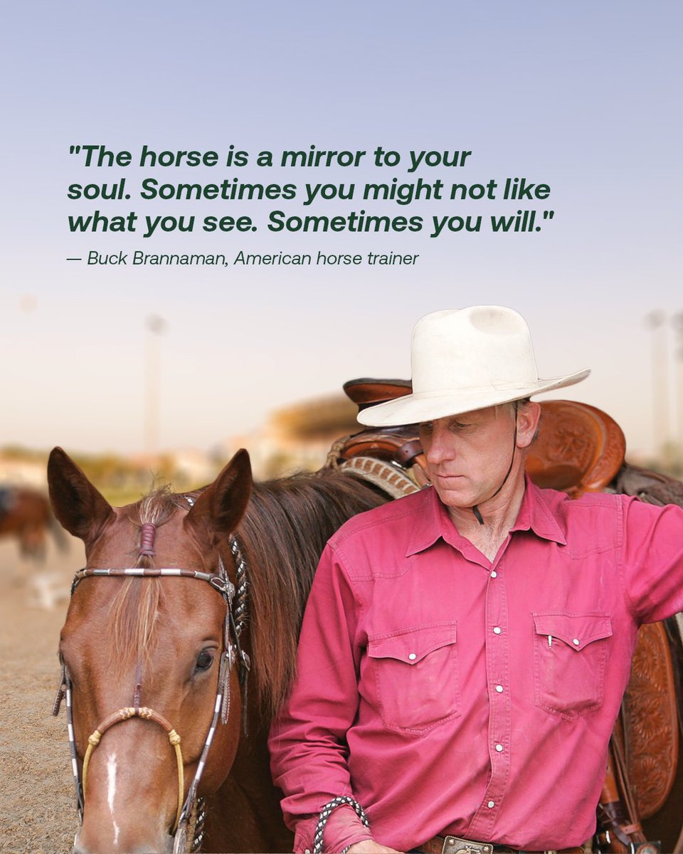 Horses reflect our emotions, revealing who we truly are. They teach us patience, empathy, and resilience, helping us grow both in the saddle and within ourselves.

إن الخيول تعكس مشاعرنا، وتكشف عن ما بداخلنا.
إنها تُعلمنا الصبر، والتعاطف، والمرونة، وتساعدنا على النمو سواء في