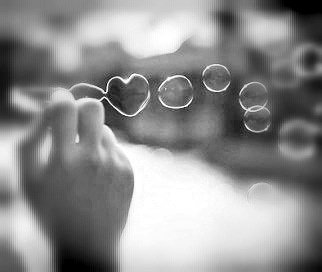 🩷✨️ wildflower tweet media