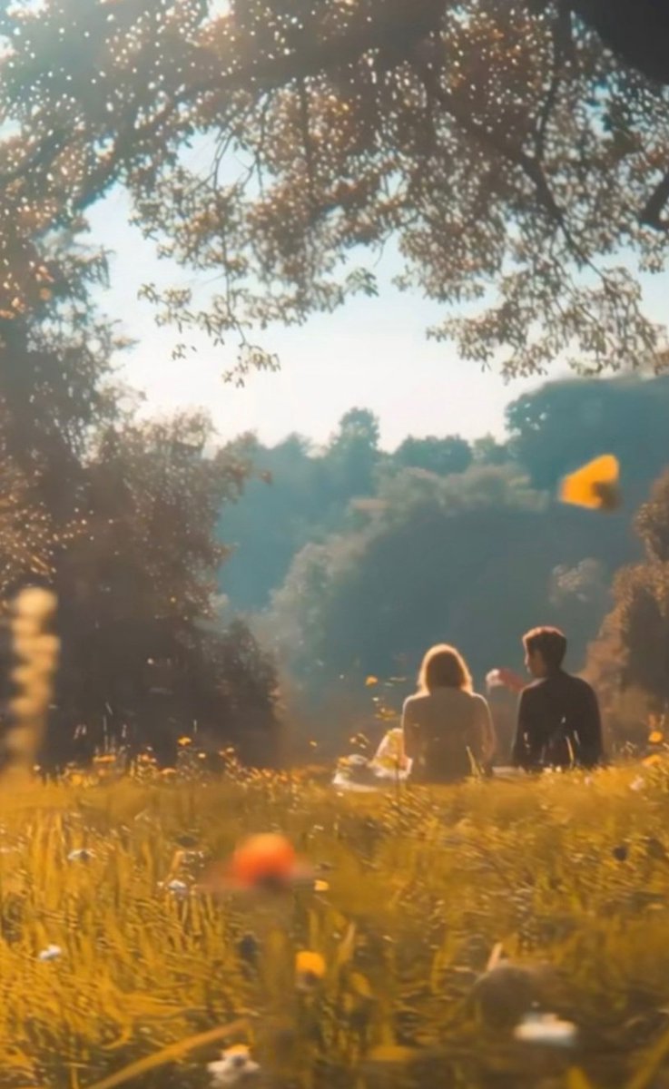 🩷✨️ wildflower tweet media