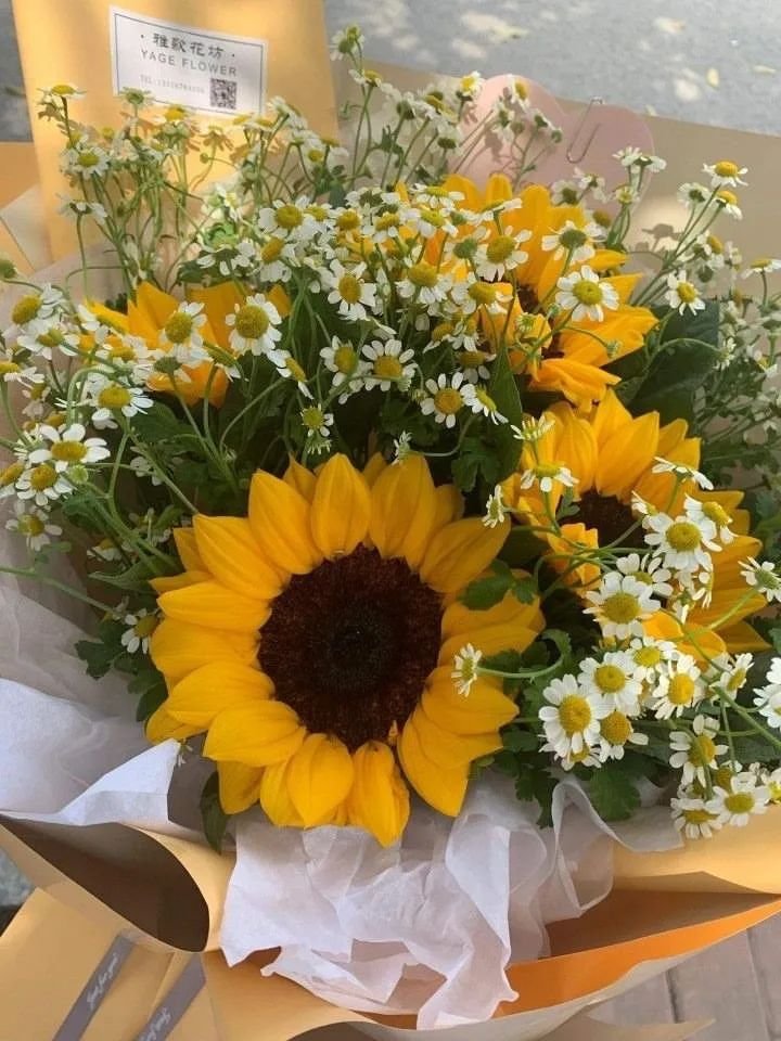 just everything in a bloom.