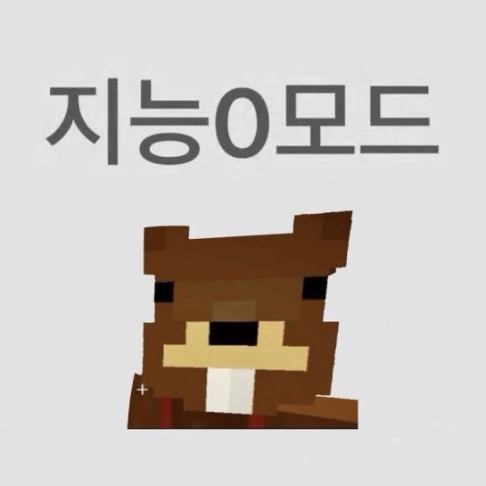 오늘의
야식