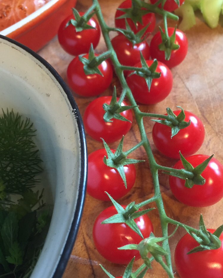 I just Love love love ❤️ this PHOTO! It’s from my archives and it just screams out about the lovely <a href="/britishtomatoes/">BritishTomatoGrowers</a> season 🍅This photo was for my harissa salmon dish. Recipe in bio! 

#britishtomatoes #harrisa #salmon #healthyfood #britishfood #food #chef #foodwriter