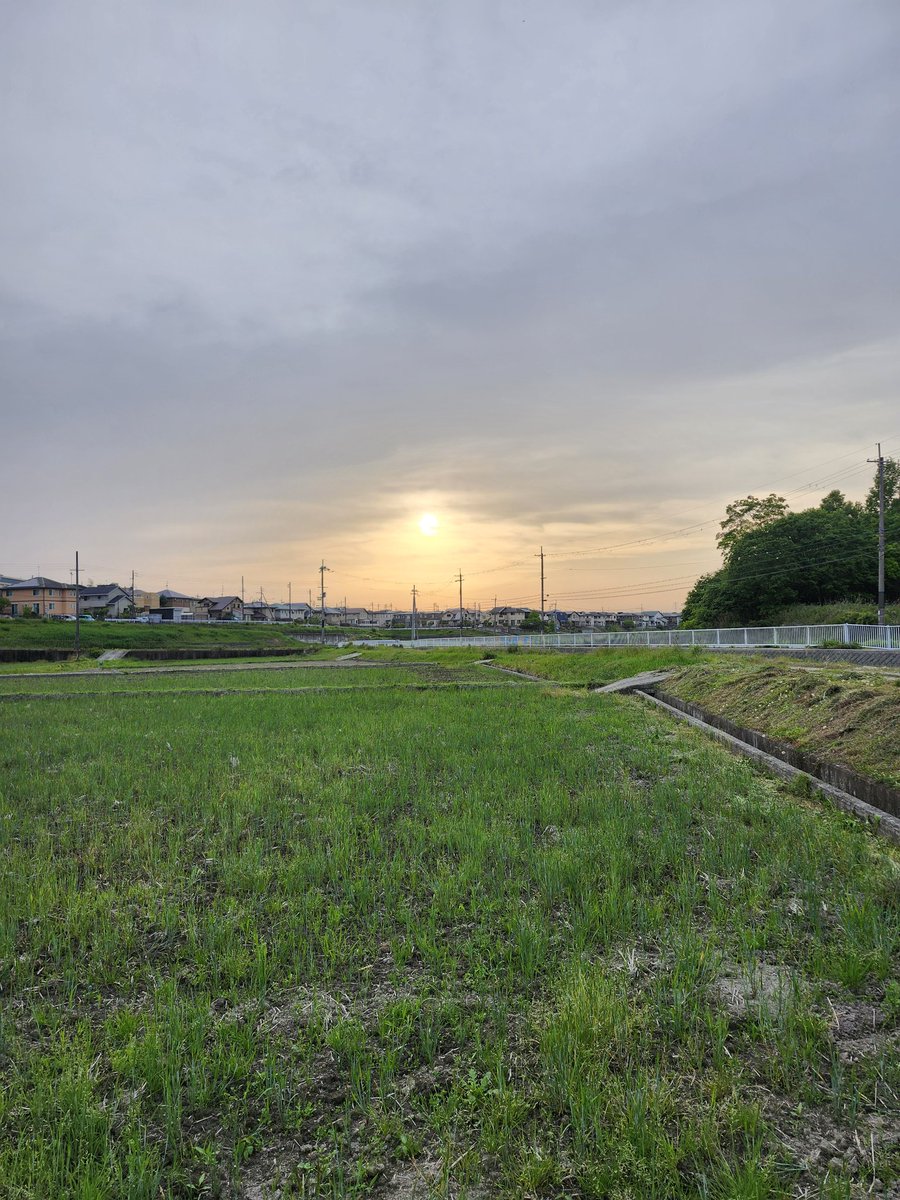 nemushinobi's tweet photo. 今日めっちゃ暑かった～！！！
まだ5月なのにー。。。

#仕事中   #奈良 #京都 #大阪  #神戸  #滋賀 #関西  #忍者 #運送業 #トラックドライバー  #おはようございます #今日も一日頑張る  #トラガール https://t.co/3KUPnOkaNO