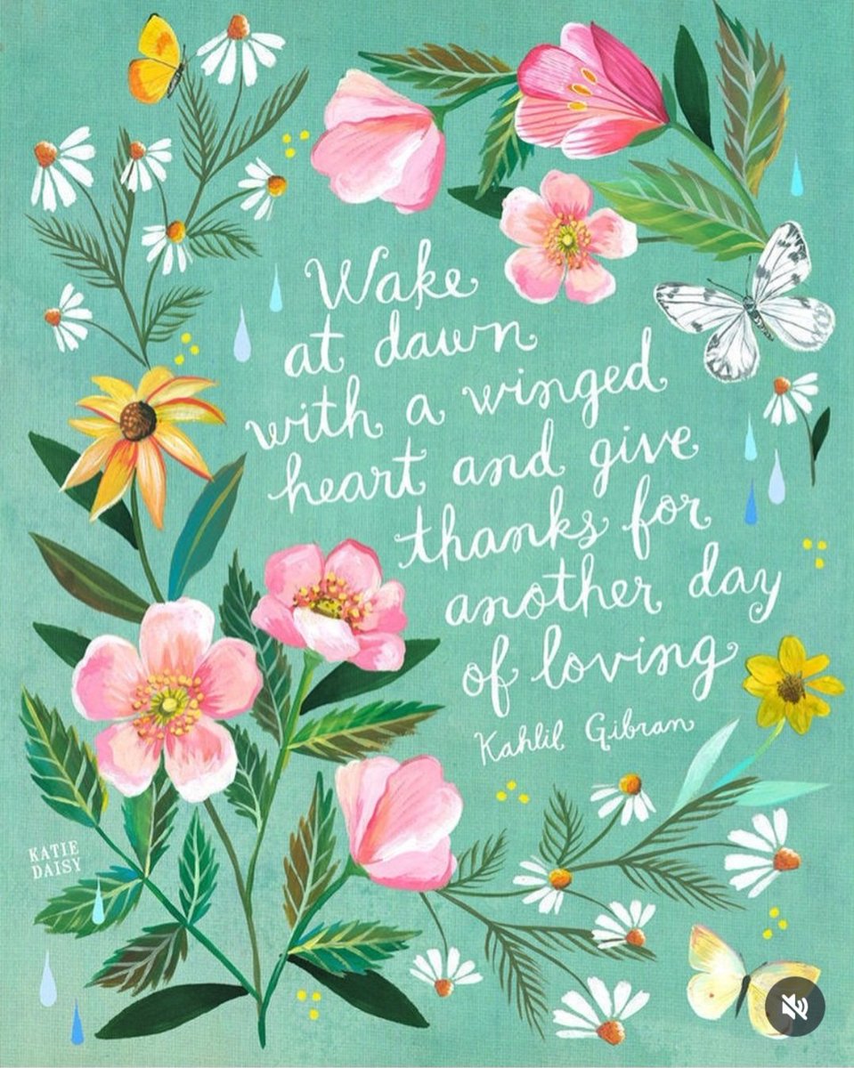 🩷✨️ wildflower tweet media