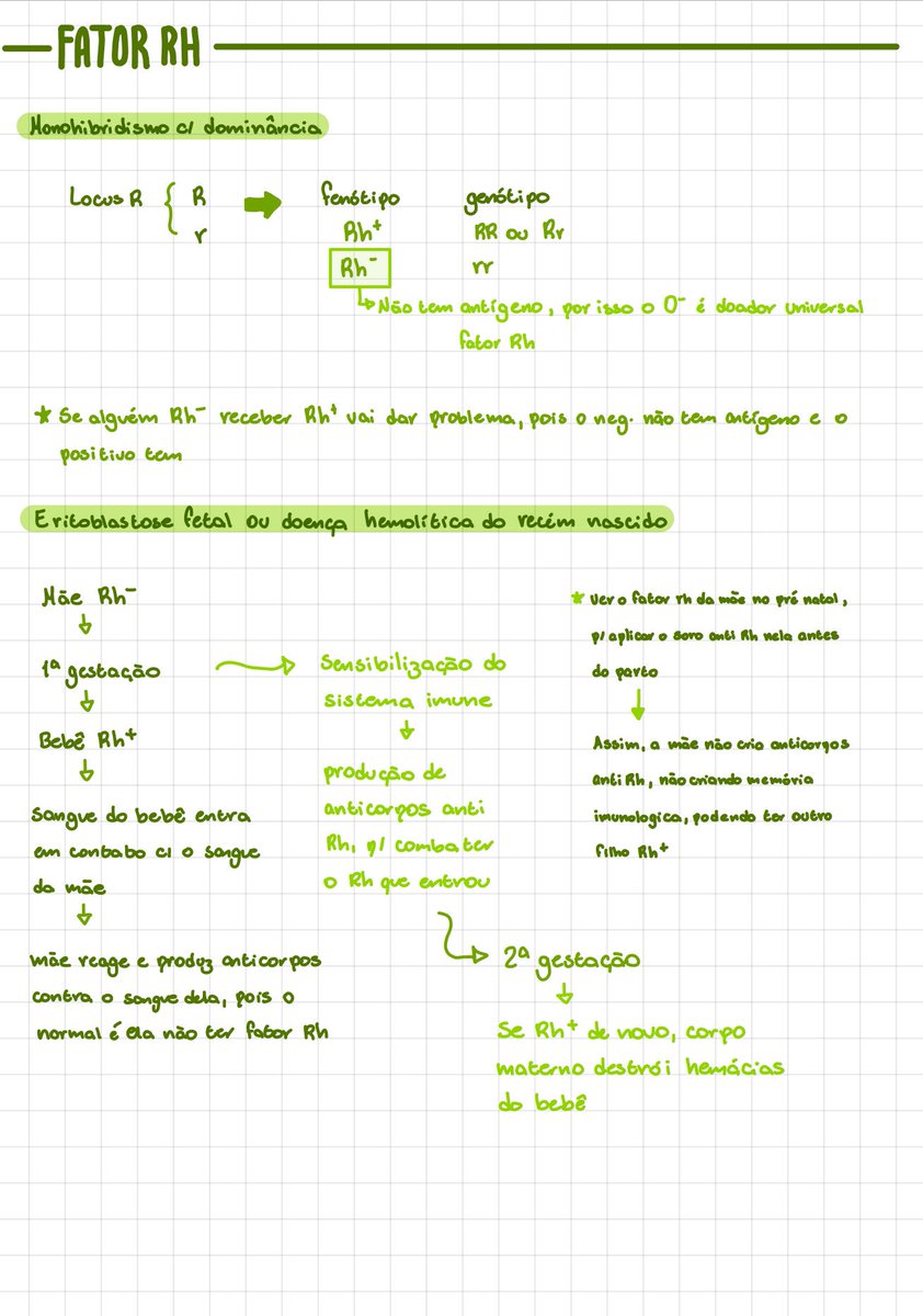 studyguk's tweet photo. simplesmente viciada em fazer anotações com só uma cor 🤭 https://t.co/v5lLWZbdlS