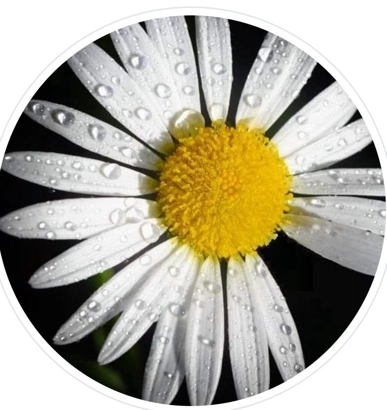 Adriana Troccoli Garcia (@adrianatroccoli) on Twitter photo 