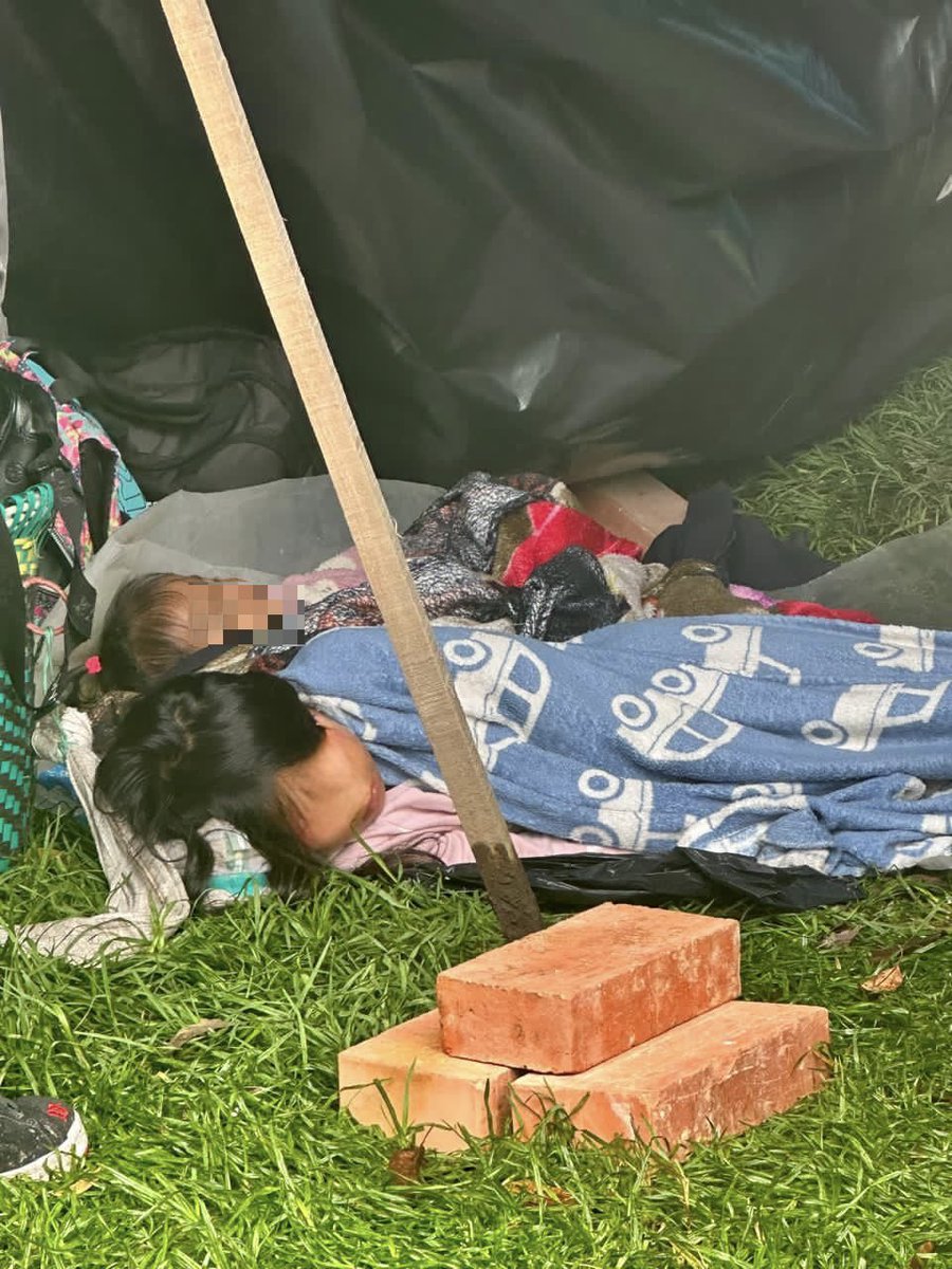 El interés superior del niño prevalece incluso frente a usos y costumbres.
Ningún menor puede ser instrumentalizado o expuesto al riesgo como ocurre hoy en el Parque Nacional.
El Distrito debe activar todas las medidas de protección y el Gobierno Nacional garantizar el retorno