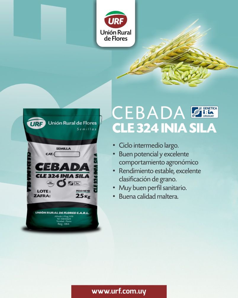 🌾 𝗖𝗘𝗕𝗔𝗗𝗔 𝗖𝗟𝗘 𝟯𝟮𝟰 𝗜𝗡𝗜𝗔 𝗦𝗜𝗟𝗔
Una variedad con genética nacional, alto potencial y excelente comportamiento agronómico.
📍  Rendimiento estable, grano de calidad, y una destacada sanidad vegetal.
Ideal para quienes buscan una buena calidad maltera y resultados