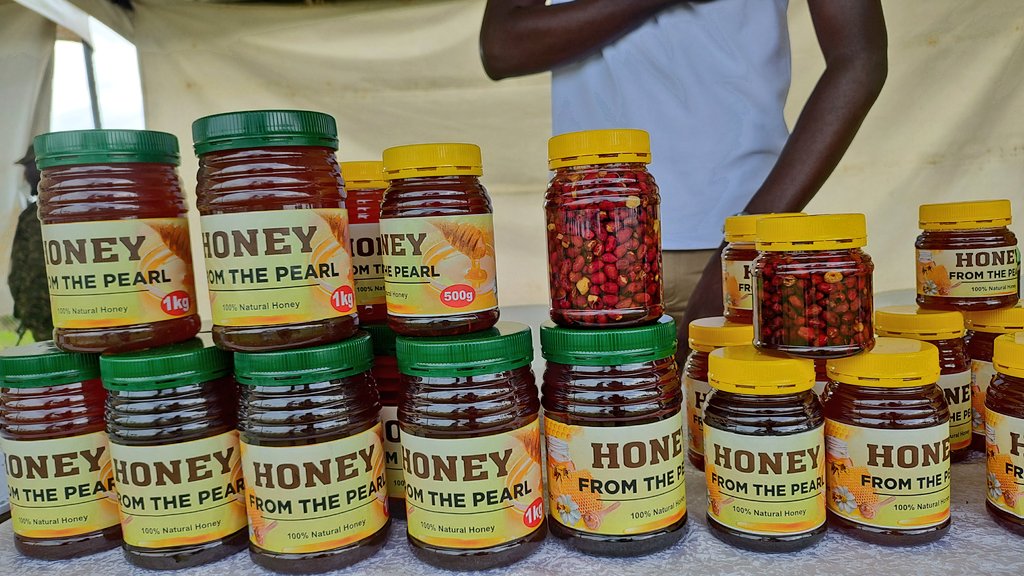 narobiotech's tweet photo. Today the Minister of state for livestock in MAAIF Hon.Dr.Rwamirama was the chief guest during the celebration of the 2025 world bee day at NARL Kawanda.@MAAIF_Uganda @narouganda @FAO @emilyarayo @NaLIRRI @TUNADO_Bees @NaroKawanda @icipe https://t.co/wyZlm4MMYU